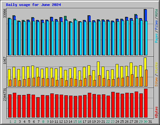 Daily usage for June 2024