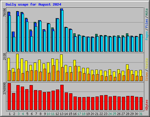Daily usage for August 2024