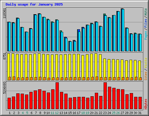 Daily usage for January 2025