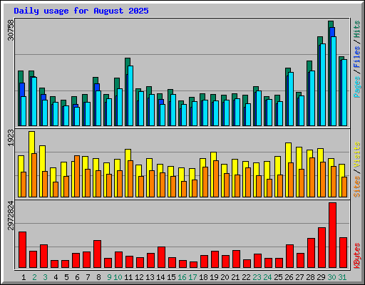 Daily usage for August 2025