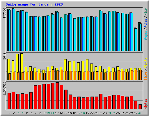 Daily usage for January 2026