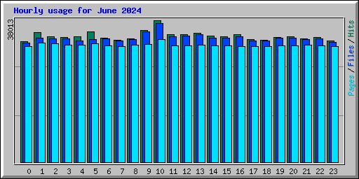 Hourly usage for June 2024