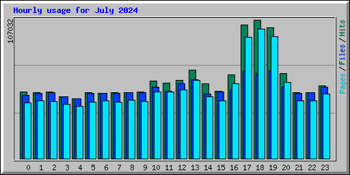 Hourly usage for July 2024