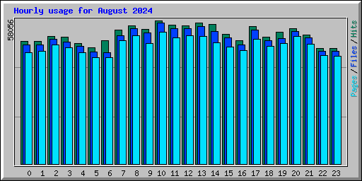Hourly usage for August 2024