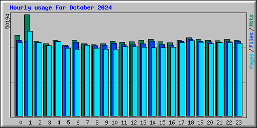 Hourly usage for October 2024