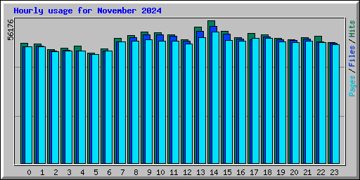 Hourly usage for November 2024