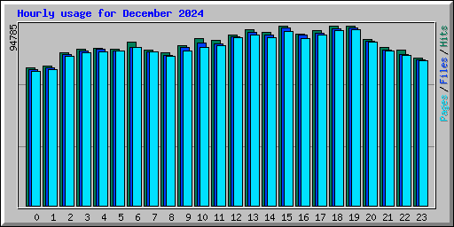 Hourly usage for December 2024