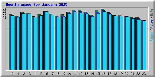 Hourly usage for January 2025
