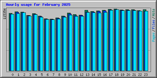 Hourly usage for February 2025