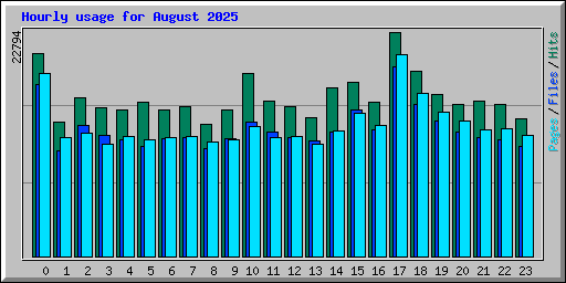 Hourly usage for August 2025