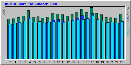 Hourly usage for October 2025