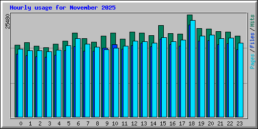 Hourly usage for November 2025