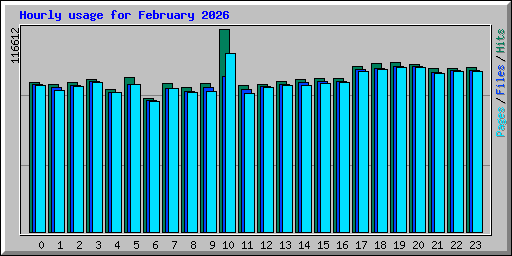 Hourly usage for February 2026